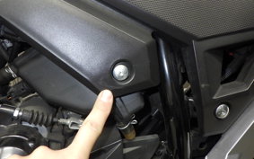 SUZUKI Vｽﾄﾛｰﾑ250 2015