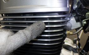 OTHER +GPX LEGEND250ﾌﾞﾗｲﾄﾝ 2011