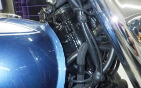 KAWASAKI W800 2026 EJ800E