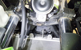 KAWASAKI NINJA 250 2019 EX250Y