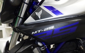 YAMAHA MT-25 RG10J