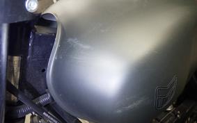 OTHER +UNREGISTERED MODEL by BDS250 2015