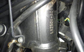 KAWASAKI KLX250D TRACKER X LX250V