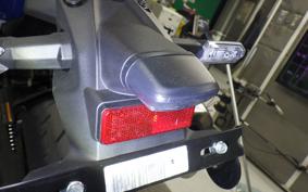KAWASAKI ZX-4RR 2024 ZX400P