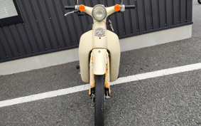 HONDA LITTLE CUB C50
