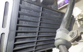 HONDA HORNET 250 MC31