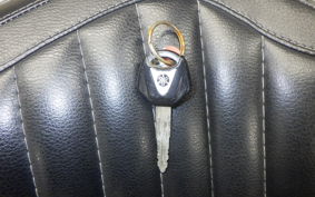 YAMAHA DRAGSTAR 400 2007 VH01J