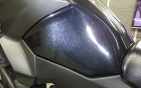 KAWASAKI VERSYS X250Aﾂｱﾗｰ 2022 LE250D