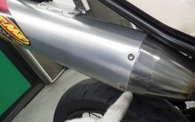 YAMAHA WR250X 2024 DG15J