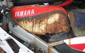 YAMAHA TZR250 1KT
