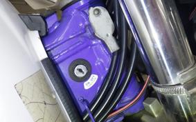 YAMAHA TT250R RAID 2013 4GY