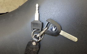 HONDA CBR250RR A MC51