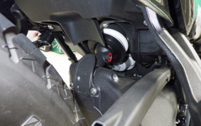 BMW R12 2024