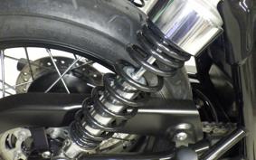 TRIUMPH BONNEVILLE T100 2019