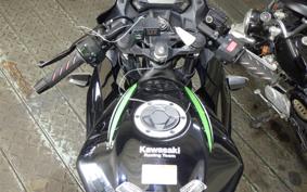 KAWASAKI NINJA 250 SL 2007 BX250A