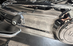 HARLEY FLFBS 2021 YGK