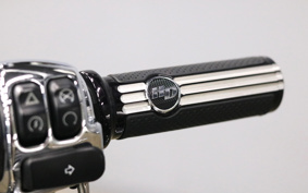 HARLEY FXDL 2016 GN4