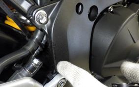 HONDA CBR1000RR RSP 2024