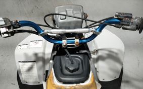 YAMAHA YF100M 3GB