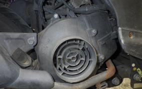 HONDA TODAY 2024 AF61