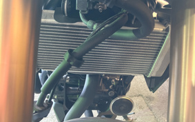 HONDA CB250R MC52