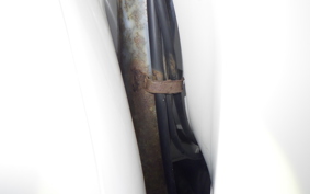 HONDA GIORCUB 2010 AF53