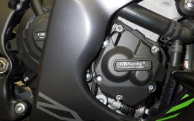 KAWASAKI ZX 10 NINJA R SE 2020 ZXT02E