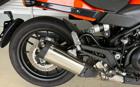 HARLEY X500 2024 W5B