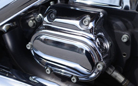 HARLEY FXDL 100th 2002 GDV