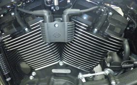 HARLEY FXLRST1920 2025