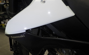 KAWASAKI KLX250D TRACKER X 2018 LX250V