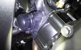KAWASAKI NINJA500 2026 EX500G