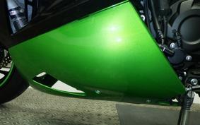 KAWASAKI ZX 1400 NINJA R A 2014