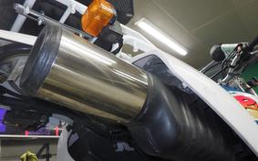 YAMAHA TT250R RAID 4GY