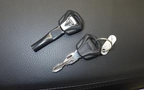 TRIUMPH BONNEVILLE T100 2024