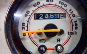 SUZUKI GLASS TRACKER BIG BOY NJ4DA