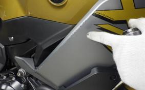 BMW F900XR 2021