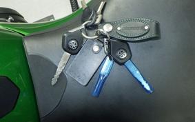 KAWASAKI H2 SXSE 2019 ZXT02A