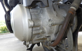 HONDA GIORNO CREA AF54