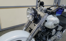 HARLEY FLSTF 100th 2003 BMY
