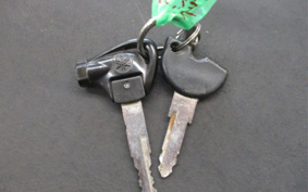 YAMAHA AKUSHI STREET SE53J