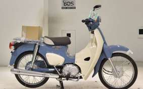 HONDA C50 SUPER CUB AA09