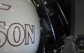 HARLEY FXLRST1920 2025