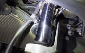 KAWASAKI NINJA 250R 2025 EX250K