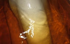 KAWASAKI 350SS 2021 S2T