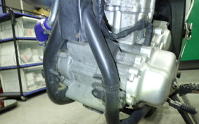 YAMAHA WR250X DG15J