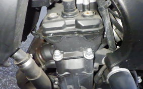 YAMAHA FZ1 FAZER 2009 RN21J