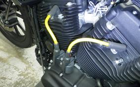 HARLEY XL1200NS 2021