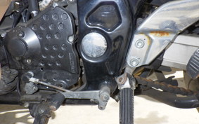 SUZUKI INAZUMA 400 (GSX400) 2001 GK7BA