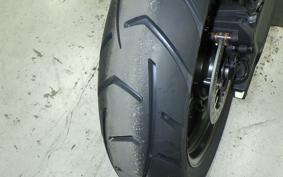 TRIUMPH TIGER 900 GT 2026